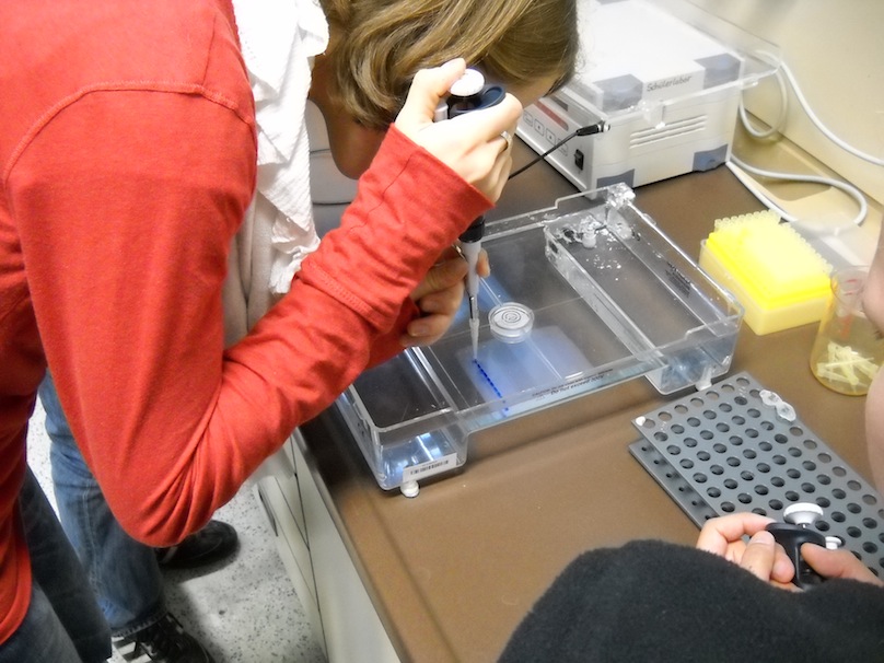 Pipettieren Pipettieren