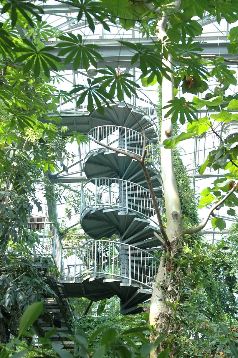 Spiral staircase in the Botanical Garden 