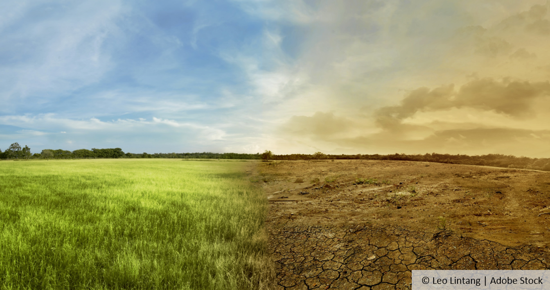 Contrast between green and dry landscape, © Leo Lintang | Adobe Stock