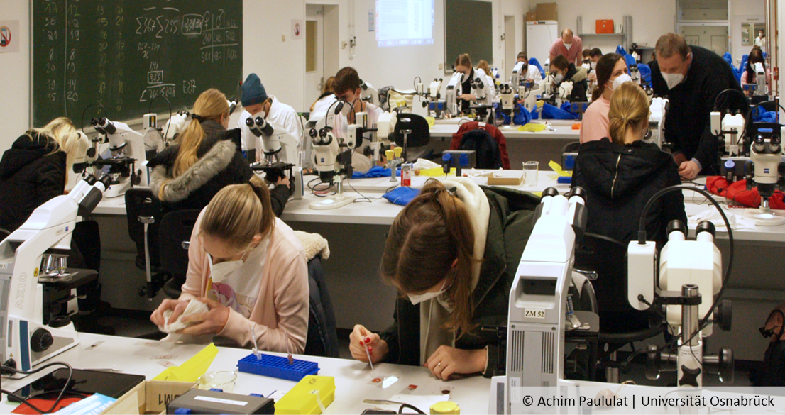 Studierende während der Experimentellen Übungen, © Achim Paululat