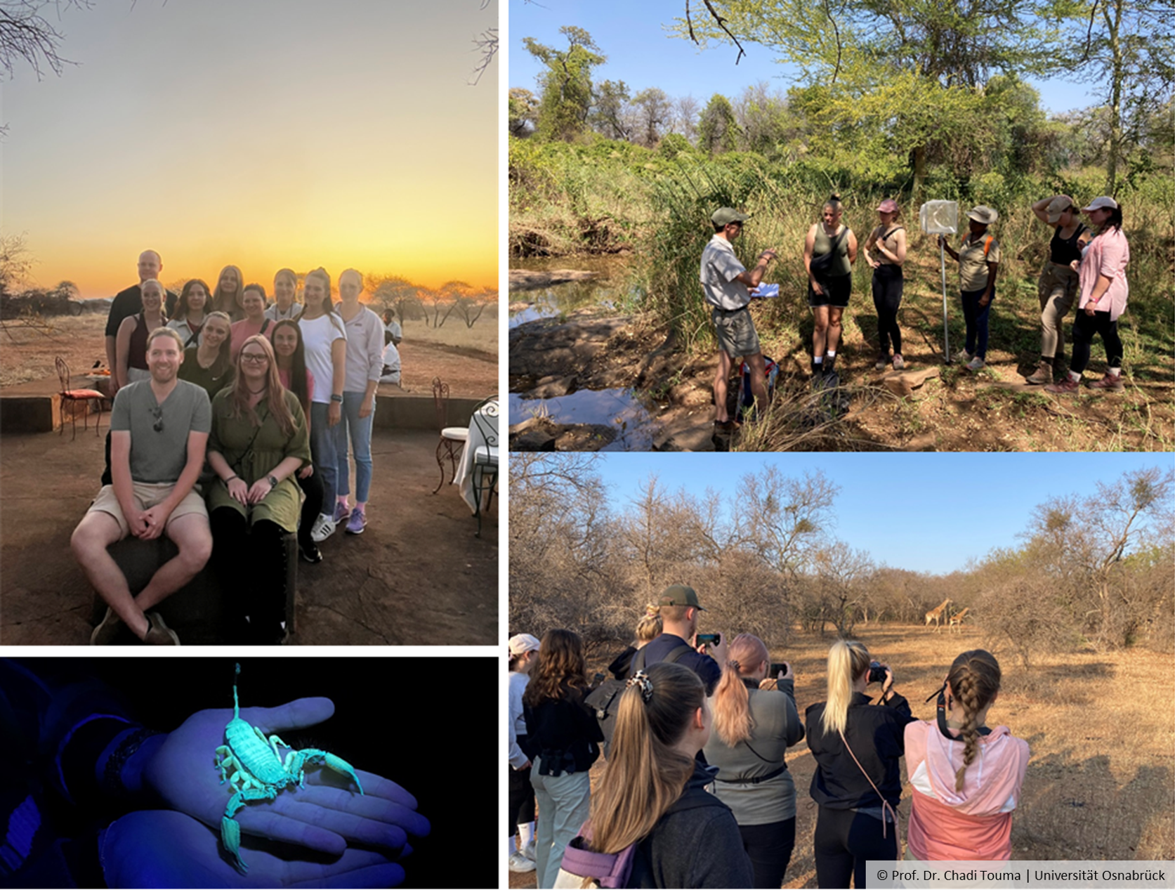 Four images combined. image 1: smiling people; image 2: people with a net in the field, listening to a person apparently explaining something. image 3: a scorpion; image 4: A group of people taking pictures of giraffes in the distance.