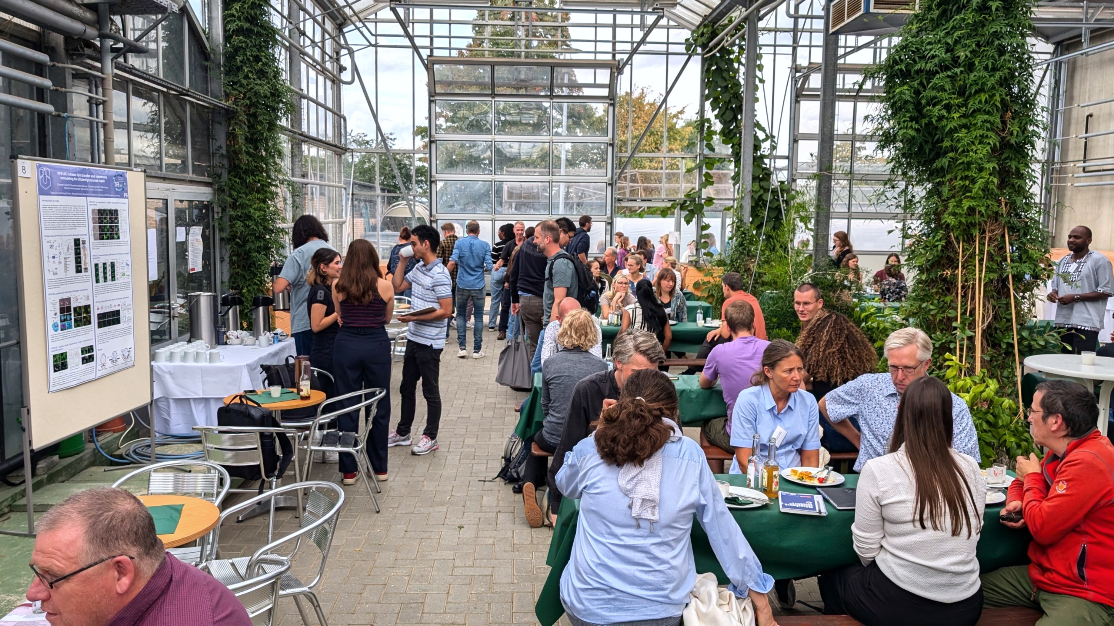 People are sitting and standing in a large greenhouse and talking to each other.