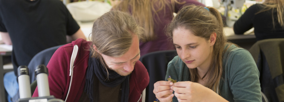 Studierende im Sprachzentrum Studierende im Sprachzentrum